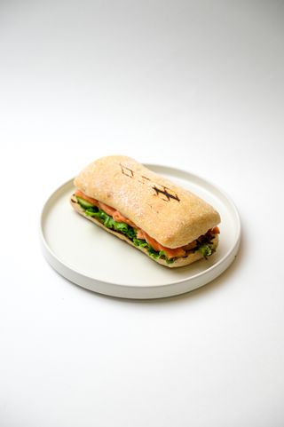 Панини с лососем (200г)