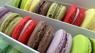 6 Macaron assortiti
