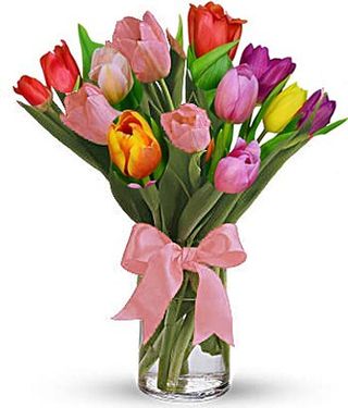 9 tulipani multicolor