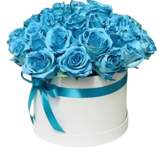 The Blue Box Experience