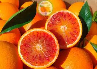Arance Tarocco Siciliane 1 kg