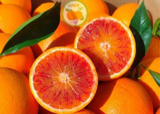 Arance Tarocco Siciliane 1 kg