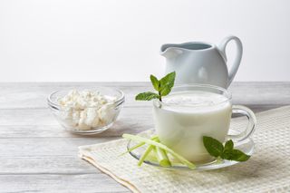 Jogurt flašica 0,5 l