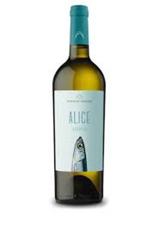 Alice