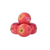 Apple Pinklady Kg