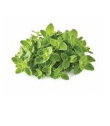 Ark Fresh Oregano