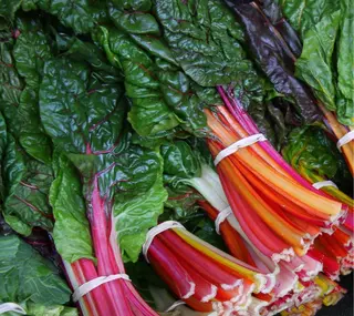Bietola colorata 1 kg