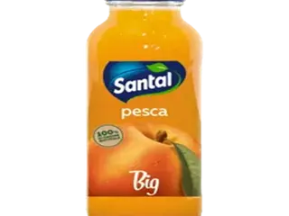 Big Succo di Frutta 25cl