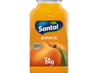 Big Succo di Frutta 25cl