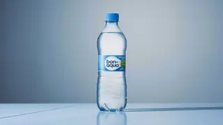 Bonaqua (500мл)