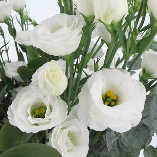 Bouquet lisianthus