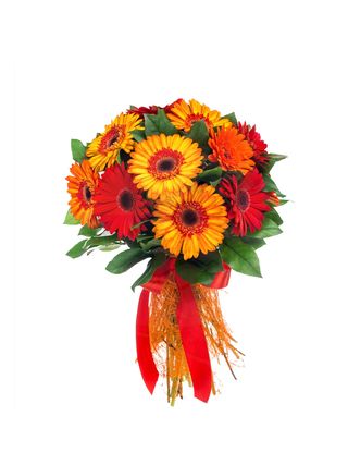 Bouquet di gerbere