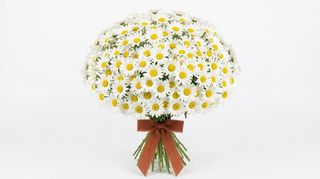 Bouquet di margherite