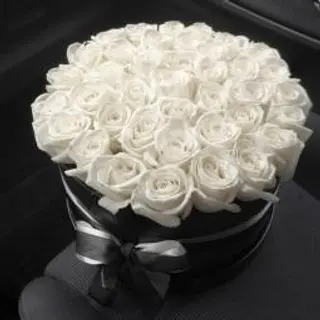 Box blanco
