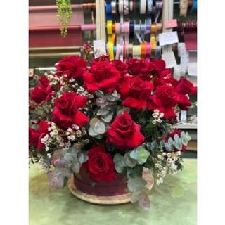 Box explorer Ecuador 