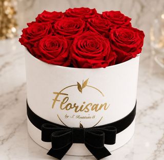 Box di 10 rose rosse fresche