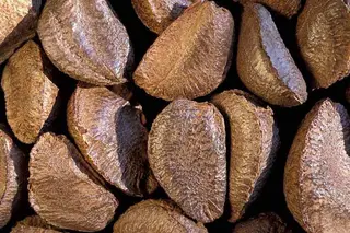 Brasiliane - 100g