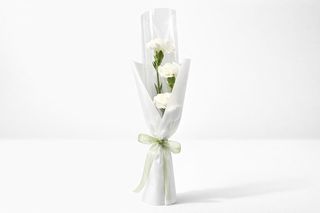 Buket - Beli KARANFILI