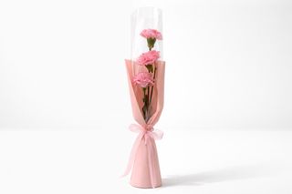 Buket - Roze KARANFILI