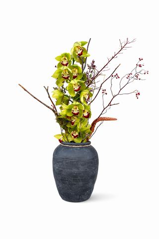 Buket u vazi  zelena orhideja poklon 