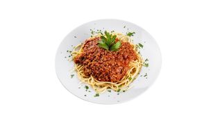 Bolognese