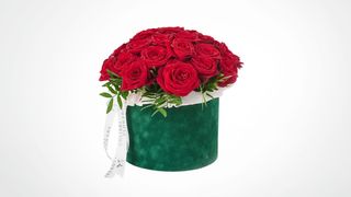 Dvadeset devet ruža u kutiji