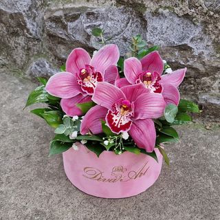 Plišani box sa roze orhidejama