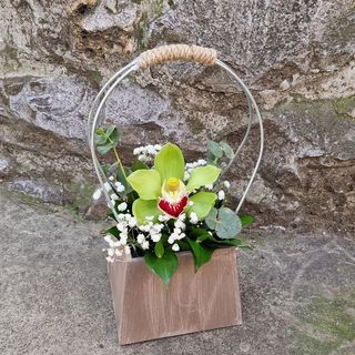 Cvet orhideje u natur korpi