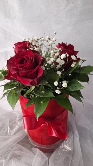 Box tri crvene ruže