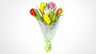 Buket od pet lala mix