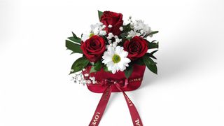 Crveni box večne ruže