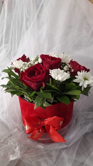 Box 5 crvenih ruža