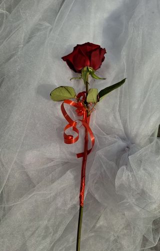 Ruža komad crvena
