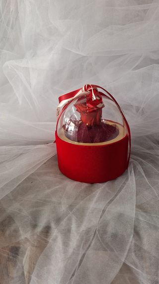 Dehidrirana ruža crvena