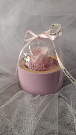 Dehidrirana  ruža roze