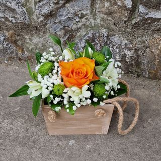 Natur korpica sa kanapom