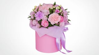 Flower box sa sezonskim cvećem Rose