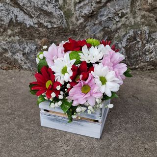 Gajbica sa mixom cveća