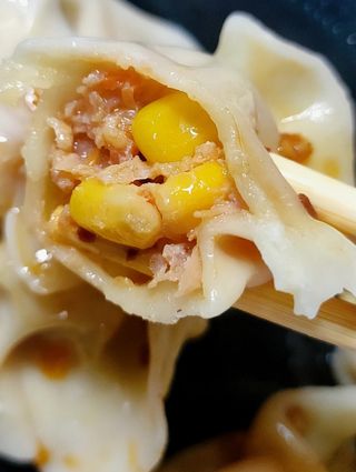 15. Prženi valjušci sa svinjetinom (猪肉煎饺)