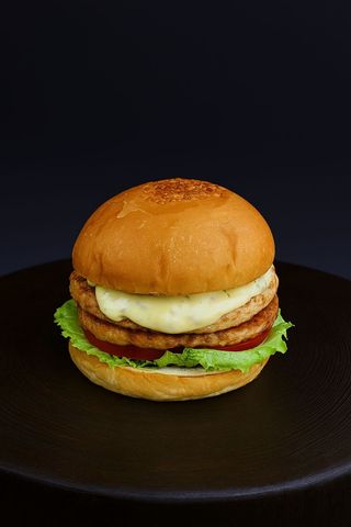 Бургер куриный 2х (400г)