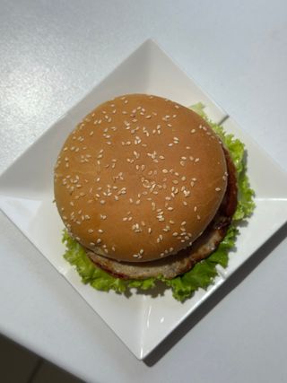 Бургер куриный (350г)