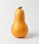 Butternut 1 unit
