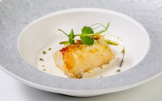 C51. White baccala