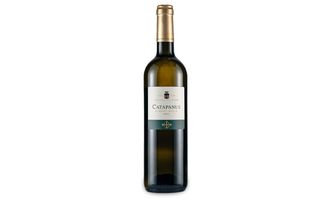 Catapanus dalfonso del sordo