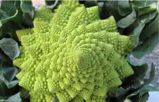 Cavolfiore romanesco locale 1 kg