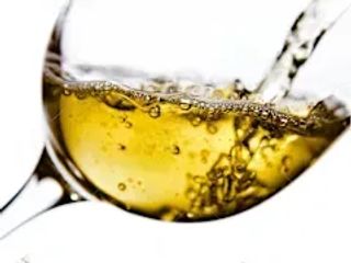 Chardonnay