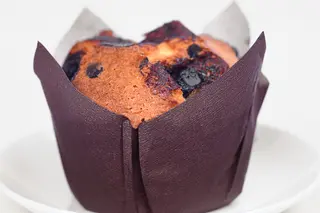 Chocolate Chip Muffin
