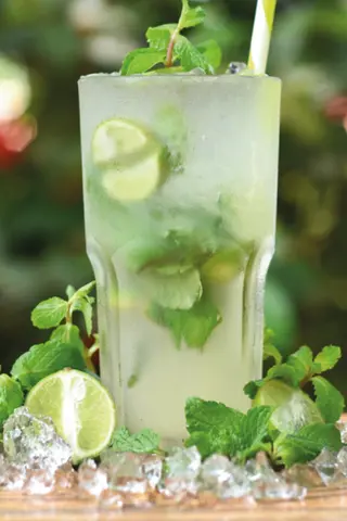 Classic Nojito