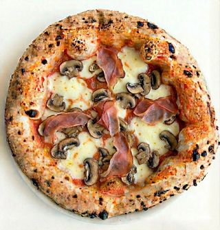 Funghi normale