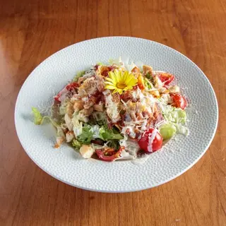 Caesar salata